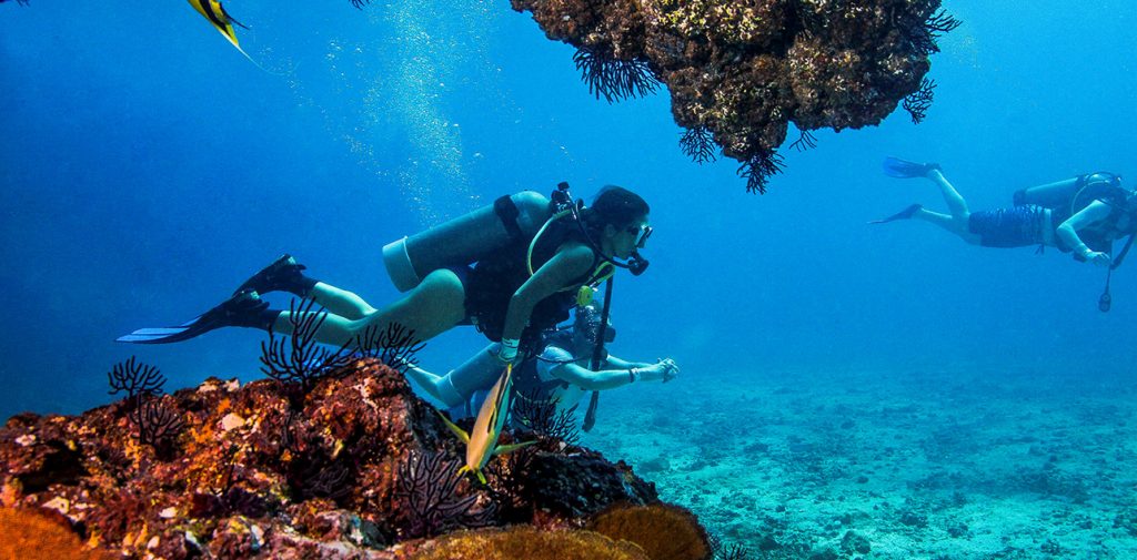 Diving in Puerto Vallarta