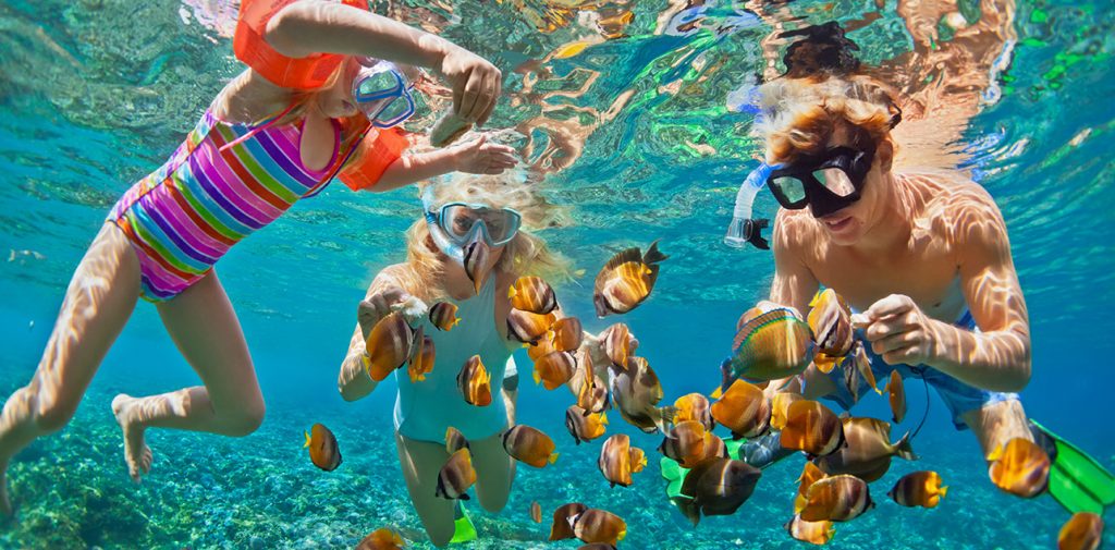 Snorkeling in Puerto Vallarta