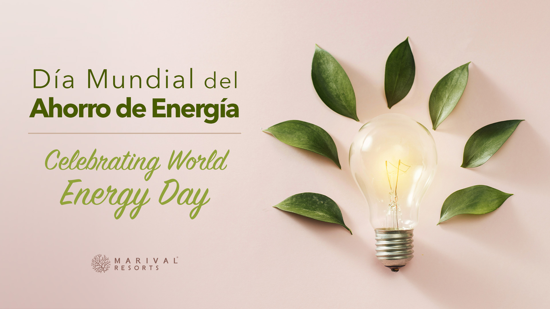 Celebrating World Energy Day at Marival Resorts